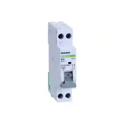 SIGURANTA NOARK 1P+N 20A 4.5KA B - 101585